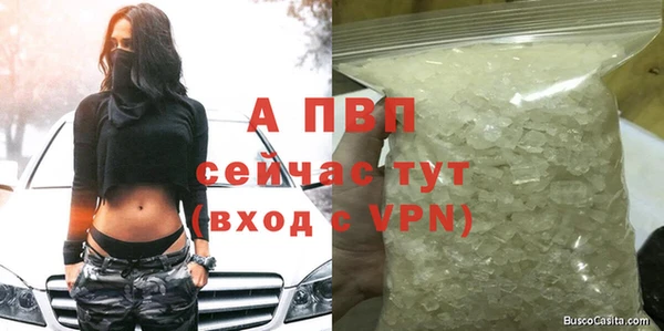 apvp Вязники